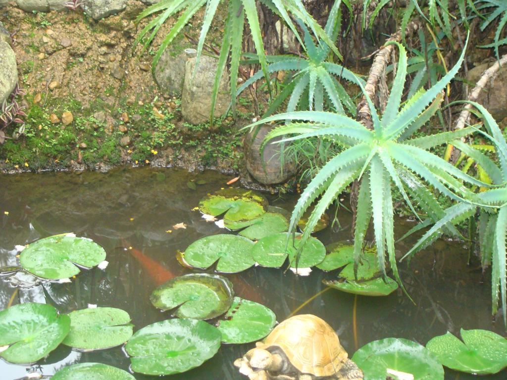 Hotel Shevaroys Yercaud Eksteriør bilde