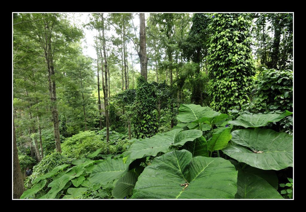 Hotel Shevaroys Yercaud Eksteriør bilde